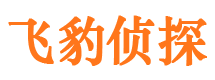 井陉县市调查取证